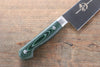 Sakai Takayuki Grand Chef Grand Chef Swedish Steel Gyuto 210mm Green Micarta Handle - Japanny - Best Japanese Knife