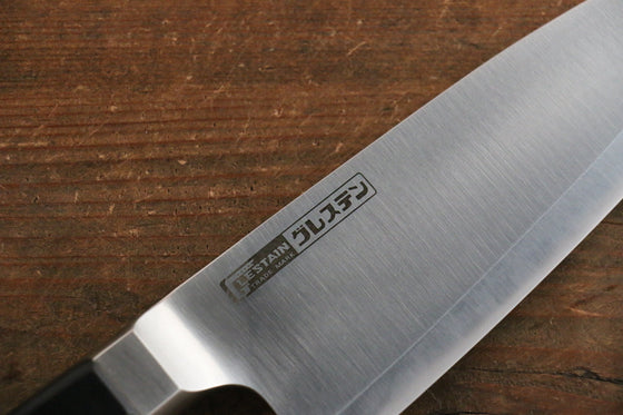 Glestain Stainless Steel Western Style Deba - Japanny - Best Japanese Knife