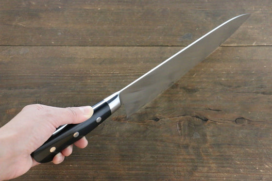 Iseya Molybdenum Gyuto 210mm Black Micarta Handle - Japanny - Best Japanese Knife