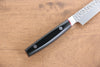 Seisuke PRO-J VG10 Hammered Petty-Utility 120mm Black Micarta Handle - Japanny - Best Japanese Knife