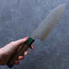 Seisuke Silver Steel No.3 Hammered Santoku 165mm Walnut(With Double Green Pakka wood) Handle - Japanny - Best Japanese Knife