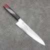 Sakai Takayuki Rinnou VG10 33 Layer Damascus Gyuto 210mm Red Lacquered Handle - Japanny - Best Japanese Knife