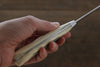 Takeshi Saji SRS13 Hammered Gyuto  210mm Cow Bone Handle - Japanny - Best Japanese Knife