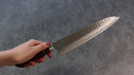 Seisuke Swedish Steel-stn Hammered Gyuto  210mm Mahogany Handle - Japanny - Best Japanese Knife