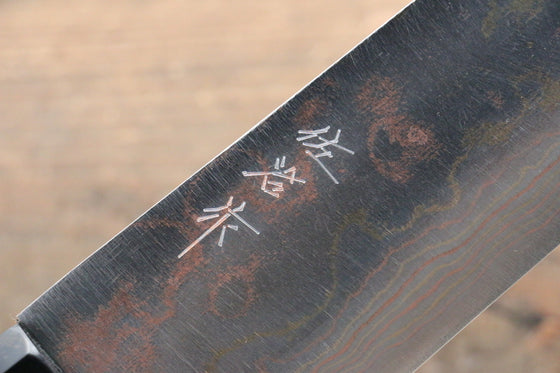 Takeshi Saji Blue Steel No.2 Colored Damascus Gyuto  270mm Ebony with Ring Handle - Japanny - Best Japanese Knife