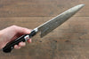 Fujiwara Teruyasu Fujiwara Teruyasu Maboroshi White Steel No.1 Nashiji Hammered Gyuto  210mm with Black Pakka wood Handle - Japanny - Best Japanese Knife