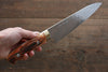 Takeshi Saji R2/SG2 Diamond Finish Damascus Gyuto  180mm Orange Cow Bone Handle - Japanny - Best Japanese Knife