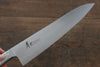 Sakai Takayuki INOX PRO Molybdenum Gyuto  240mm - Japanny - Best Japanese Knife