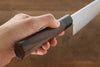 Seisuke R2/SG2 Gyuto Japanese Chef Knife 210mm - Japanny - Best Japanese Knife