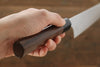Seisuke R2/SG2 Sujihiki Japanese Chef Knife 240mm - Japanny - Best Japanese Knife