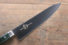 Sakai Takayuki Grand Chef Grand Chef Swedish Steel-stn Gyuto  210mm Green Micarta Handle - Japanny - Best Japanese Knife