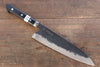 Fujiwara Teruyasu Fujiwara Teruyasu Denka Blue Super Black Finished Gyuto 210mm with Black Pakka wood Handle - Japanny - Best Japanese Knife