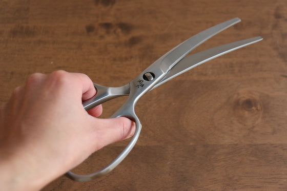 Portable Japanese Kitchen Scissors With Cap, Seki Magoroku – Goodpic :  Japanese Craft and Tools