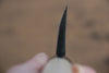 Sakai Takayuki White Steel Kurouchi Ittouryumon engraving Deba 210mm Magnolia Handle - Japanny - Best Japanese Knife