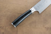 Takeshi Saji SRS13 Hammered Gyuto 210mm Black Pakka wood Handle - Japanny - Best Japanese Knife