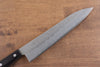 Seisuke Budou Silver Steel No.3 Nashiji Gyuto  210mm Purple Pakka wood Handle - Japanny - Best Japanese Knife