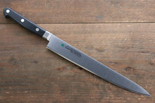  Sakai Takayuki Grand Chef Swedish Steel-stn Sujihiki  240mm - Japanny - Best Japanese Knife