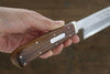 Sakai Takayuki INOX Molybdenum Yanagiba Desert Ironwood Handle - Japanny - Best Japanese Knife