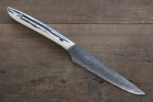 Steak Knife / Carving knife – Japanny x Seisuke Knife