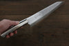 Takeshi Saji Vinno1 Kiritsuke Gyuto Japanese Knife 210mm Titan Handle - Japanny - Best Japanese Knife