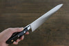 Iseya Molybdenum Gyuto Japanese Knife 210mm Black Micarta Handle - Japanny - Best Japanese Knife