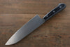 Iseya Molybdenum Santoku Japanese Knife 180mm Black Pakka wood Handle - Japanny - Best Japanese Knife