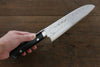 Takeshi Saji SRS13 Hammered Santoku 180mm Black Micarta Handle - Japanny - Best Japanese Knife