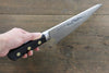 Misono Swedish Steel Dragon engraving Garasuki Boning Japanese Knife 185mm - Japanny - Best Japanese Knife