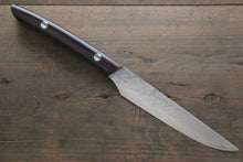  Takeshi Saji R2/SG2 Steak 125mm Cocobolo Handle - Japanny - Best Japanese Knife