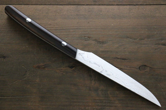 Takeshi Saji R2/SG2 Steak 125mm Cocobolo Handle - Japanny - Best Japanese Knife