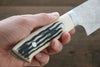 Takeshi Saji R2/SG2 Diamond Finish Damascus Gyuto  240mm Cow Bone Handle - Japanny - Best Japanese Knife