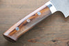 Takeshi Saji R2/SG2 Diamond Finish Damascus Gyuto Japanese Knife 240mm Ironwood Handle - Japanny - Best Japanese Knife