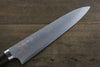 Takeshi Saji Blue Steel No.2 Colored Damascus Gyuto Japanese Knife 240mm Ironwood Handle - Japanny - Best Japanese Knife