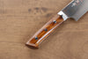 Takeshi Saji Blue Steel No.2 Colored Damascus Gyuto  210mm Ironwood Handle - Japanny - Best Japanese Knife
