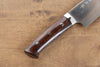 Takeshi Saji Blue Steel No.2 Colored Damascus Gyuto  270mm Ironwood Handle - Japanny - Best Japanese Knife