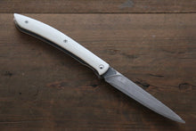  Takeshi Saji R2/SG2 Black Damascus Folding Steak Knife Japanese Chef Knife 100mm White Micarta Handle - Japanny - Best Japanese Knife