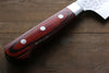 Sakai Takayuki VG10 33 Layer Damascus Gyuto Japanese Knife 210mm Mahogany Pakka wood Handle - Japanny - Best Japanese Knife