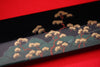 Takeshi Saji Knife VG10 Yanagiba 270mm with Makie Art - Torii - Japanny - Best Japanese Knife